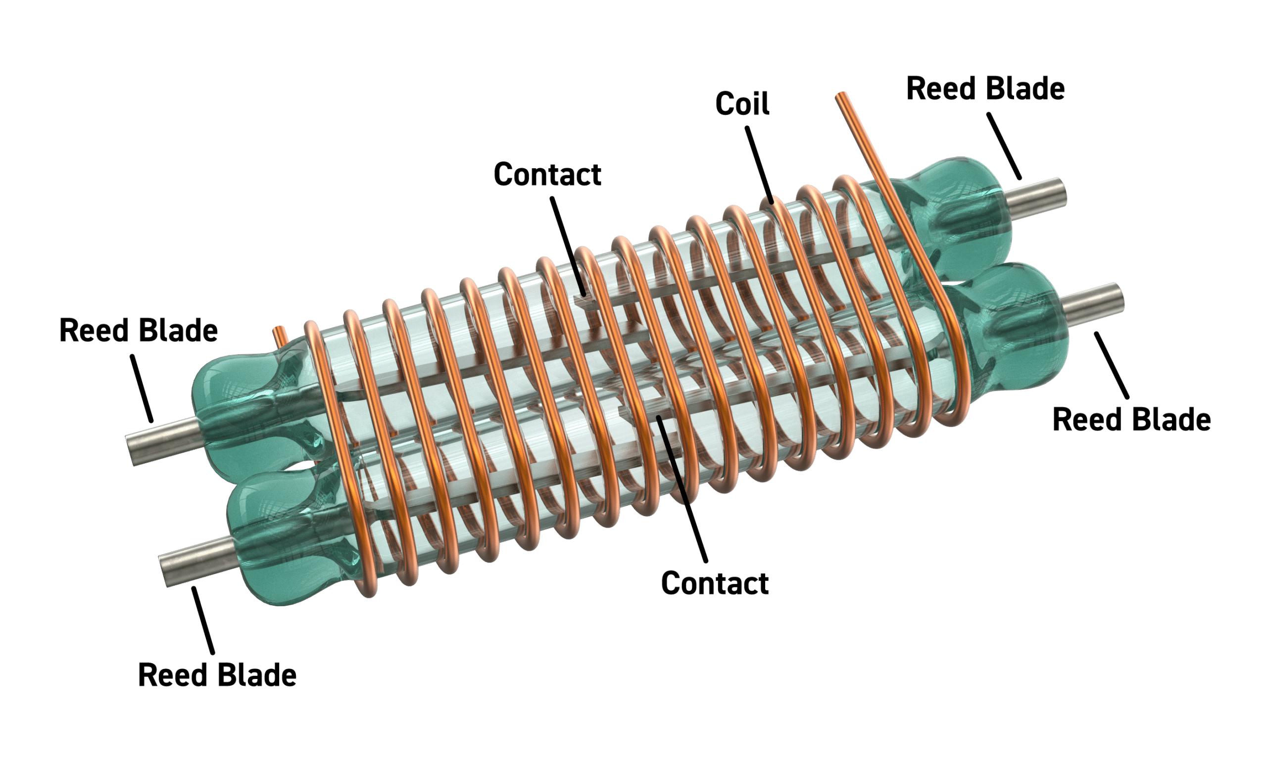 two pole reed switch image